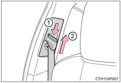 Seat Belt.jpg